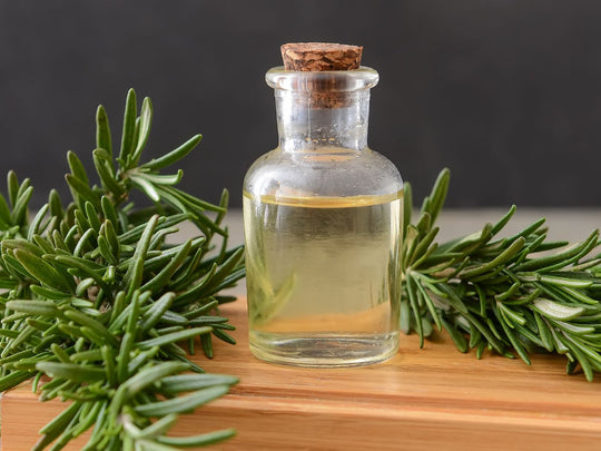 Best Ayurvedic Herb For Healthy Hair: Rosemary Hair Benefits That You Should Know!