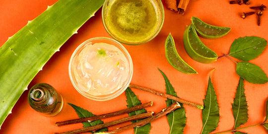 Reasons to Add Neem and Aloe Vera in Your Skin Care Routine