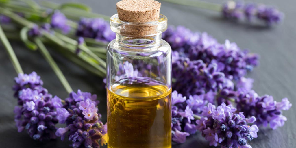 Best Essential Oils for Summer