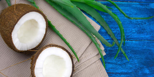 Here's Why Aloe Vera and Coconut Oil Make A Great Combination for Your Hair And Skin