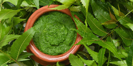 Magic of Ayurveda #7 Neem: An Ageless, Timeless Indian Superfood For Skin & Immunity And Grandma's Favourite